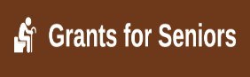 grants-for-seniors.jpg